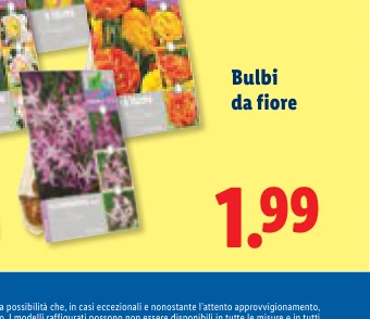 Bulbi da fiore