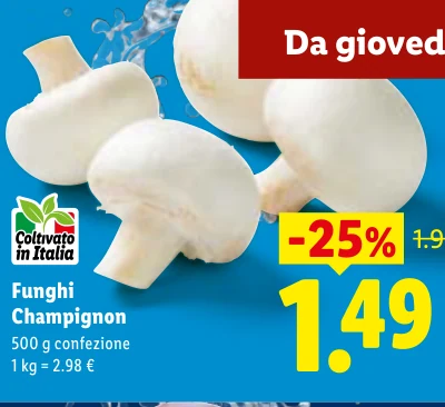 Funghi Champignon