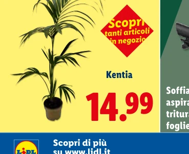 in negozio