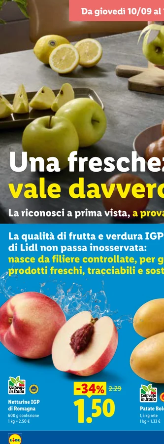 Patate Bologna DOP 1,5 rete