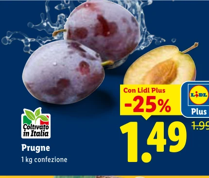 Prugne