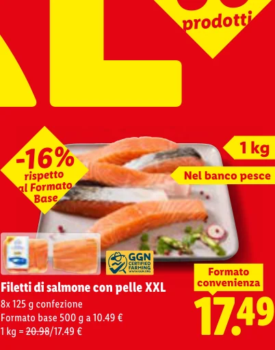 Filetti di salmone con pelle XXL