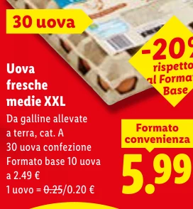 Uova fresche medie XXL