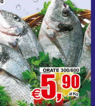 Orate 300/600